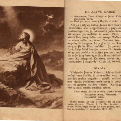 Vilniauskalvarijos 06