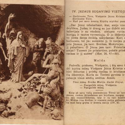 Vilniauskalvarijos 07