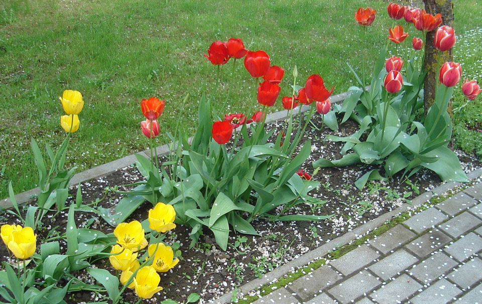 Lietuvos žmonių bendruomenės svarba. Sunaikinsime ją, sunaikinsime Lietuvą
